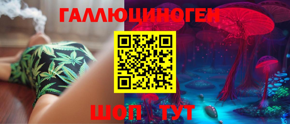 Псилоцибиновые грибы Psilocybe Долгопрудный