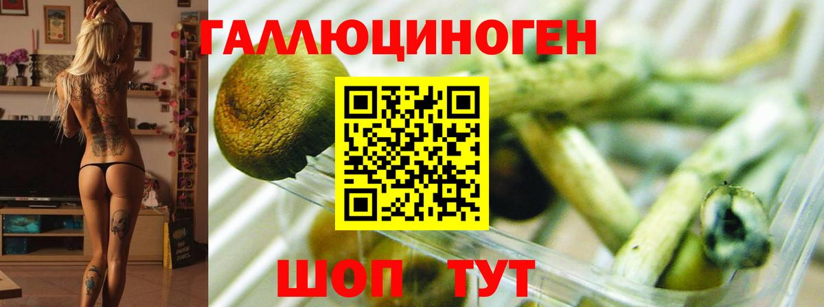 Долгопрудный  Галлюциногенные грибы мухоморы  Вход с VPN 